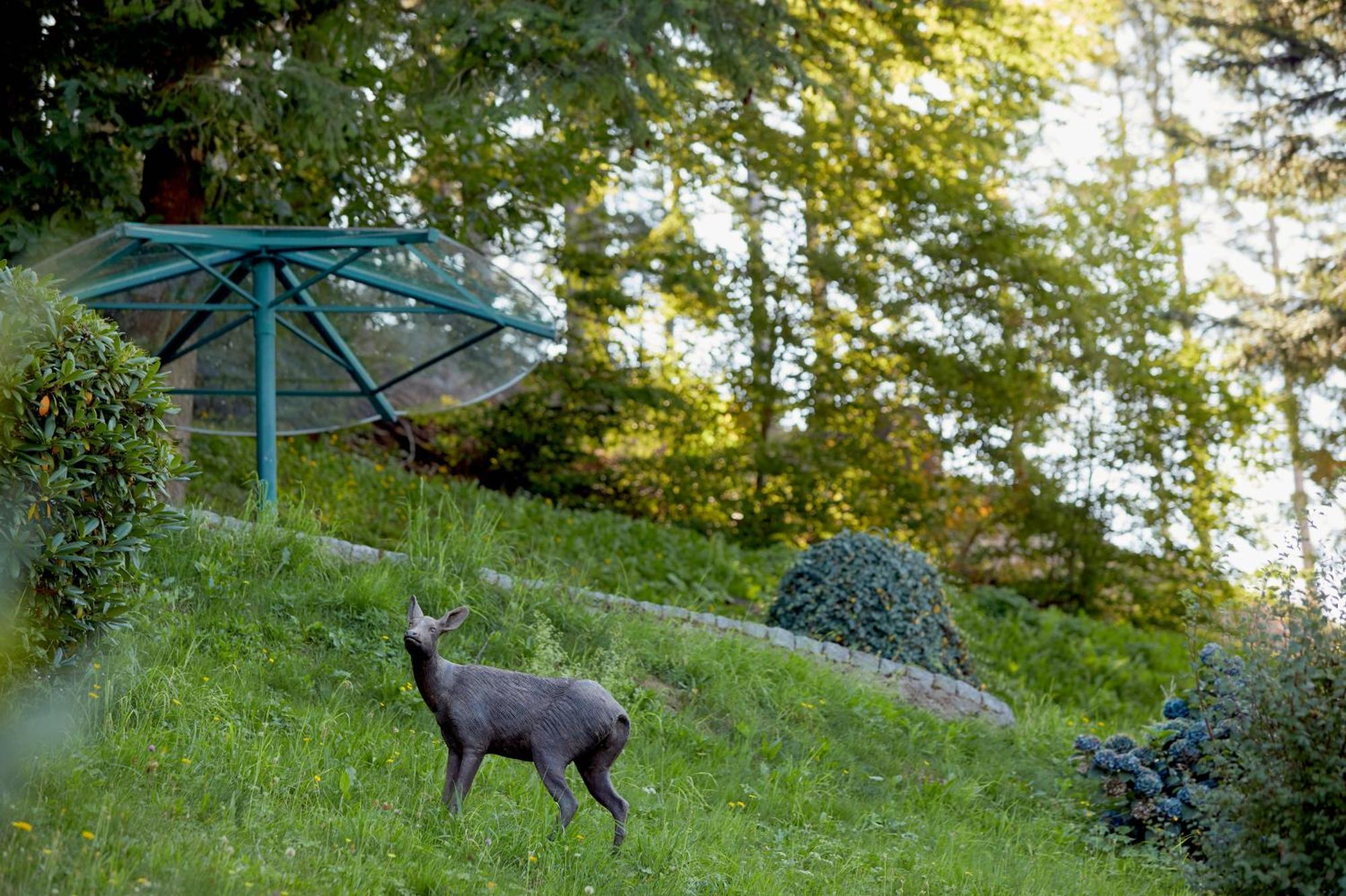 Hotel Dollenberg Bad Peterstal-Griesbach Habitación foto